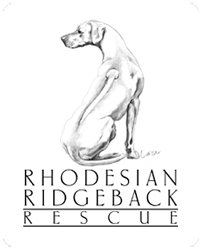 Rhodesian Ridgeback Rescue